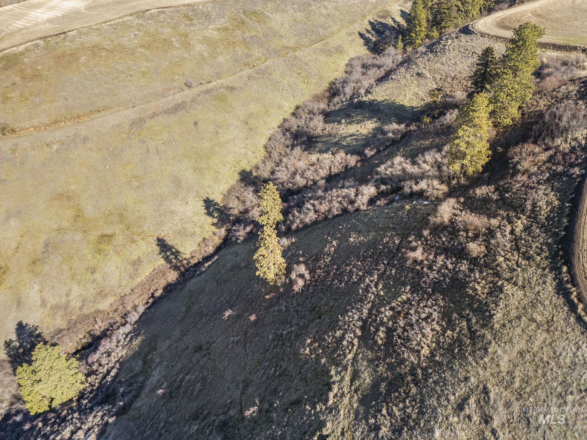 Tbd Old Culdesac Road Culdesac, ID 83524 - Photo 6 of 38