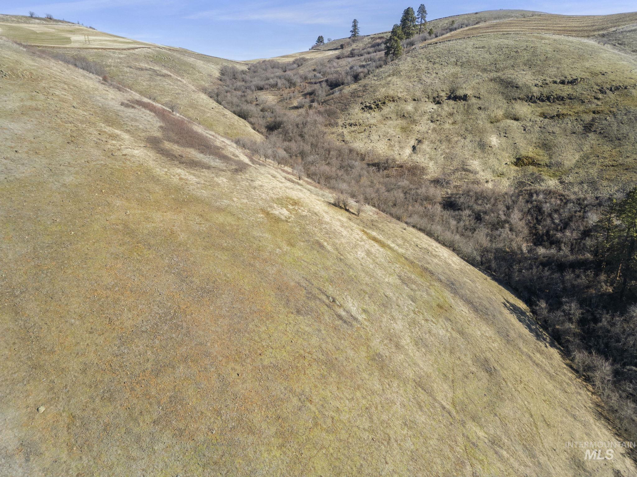 Tbd Old Culdesac Road Culdesac, ID 83524 - Photo 9 of 38