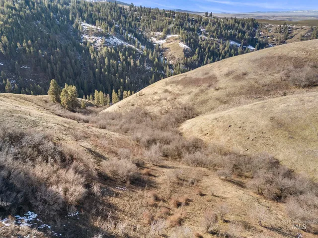 $315,000 | Tbd Old Culdesac Road, Culdesac, ID 83524