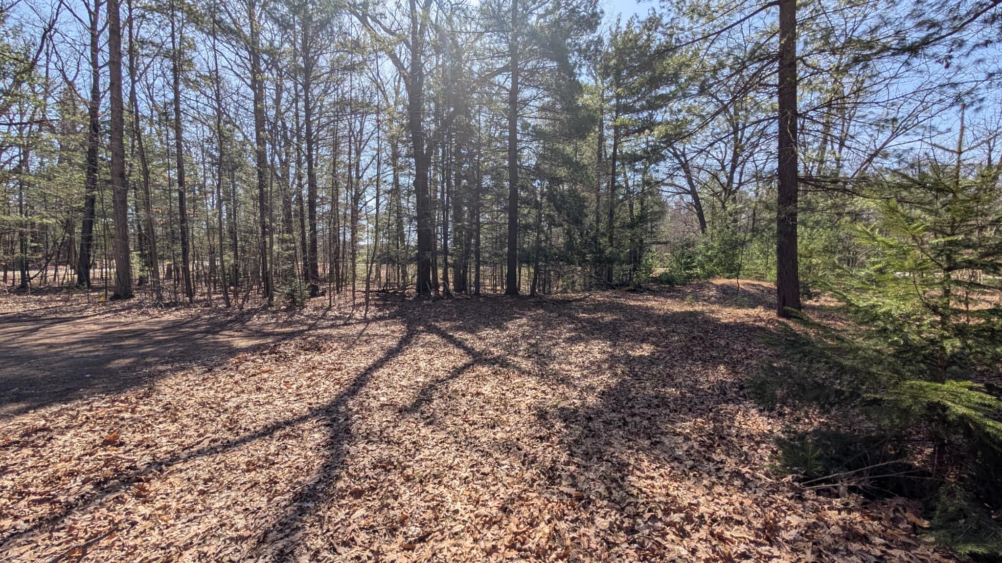 5764 West Bryant Road Ludington, MI 49431 - Photo 5 of 20 b435506c-9e52-4f06-a613-9c088a6f33ca