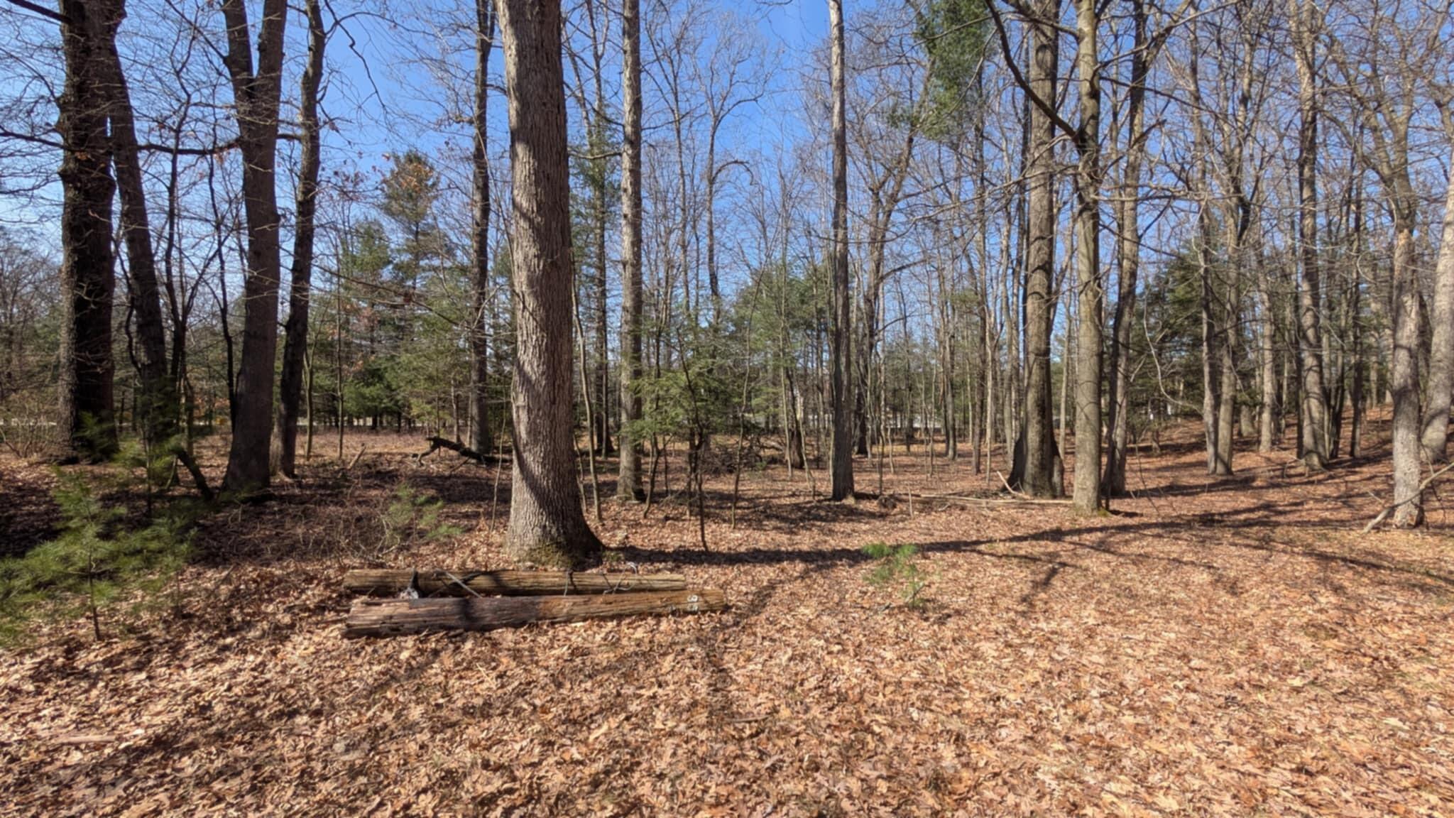 5764 West Bryant Road Ludington, MI 49431 - Photo 6 of 20 eb550ccb-10cc-487e-886e-5bdfdf7f2d02