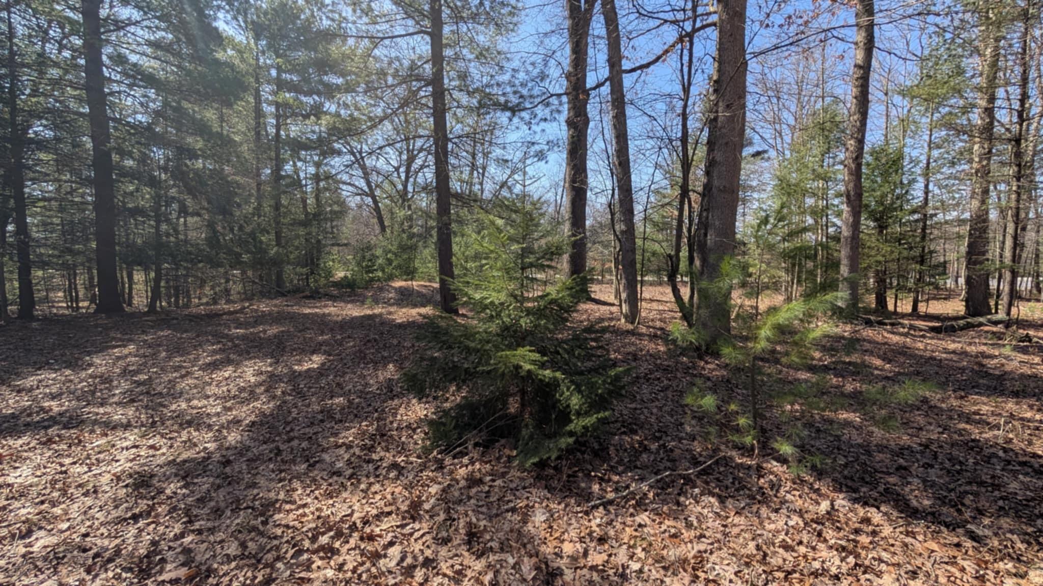 5764 West Bryant Road Ludington, MI 49431 - Photo 9 of 20 d319a05c-69b6-4d5d-bd94-d2954e049c21