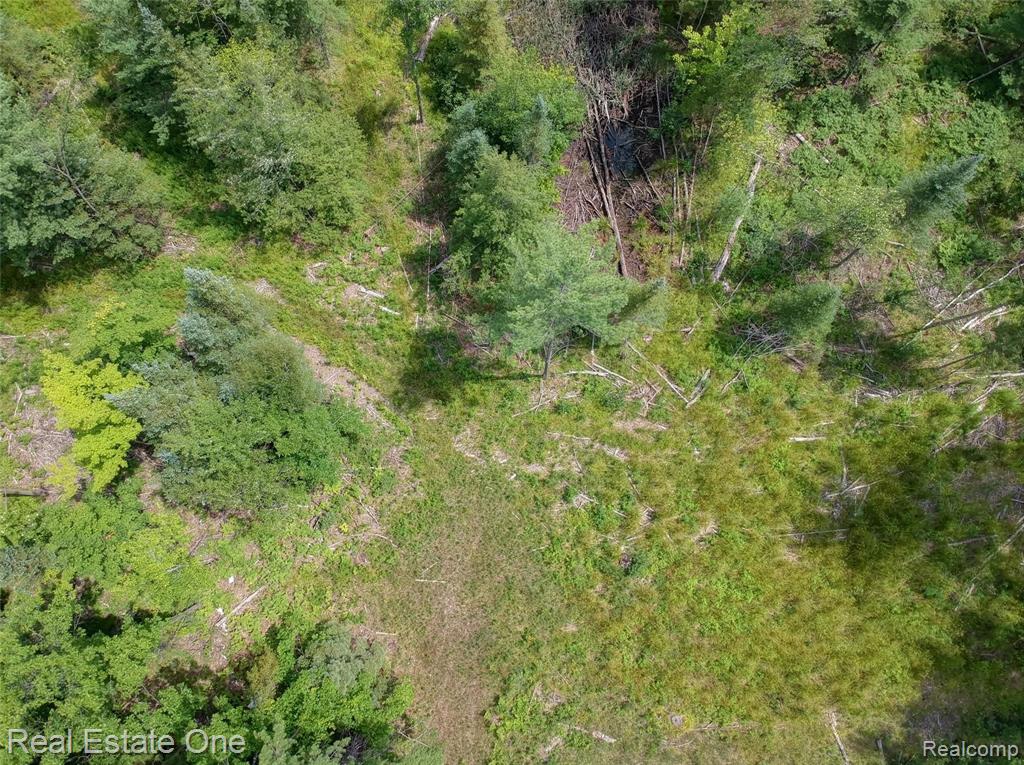 0 South Morrison Road West Branch, MI 48661 - Photo 18 of 38
