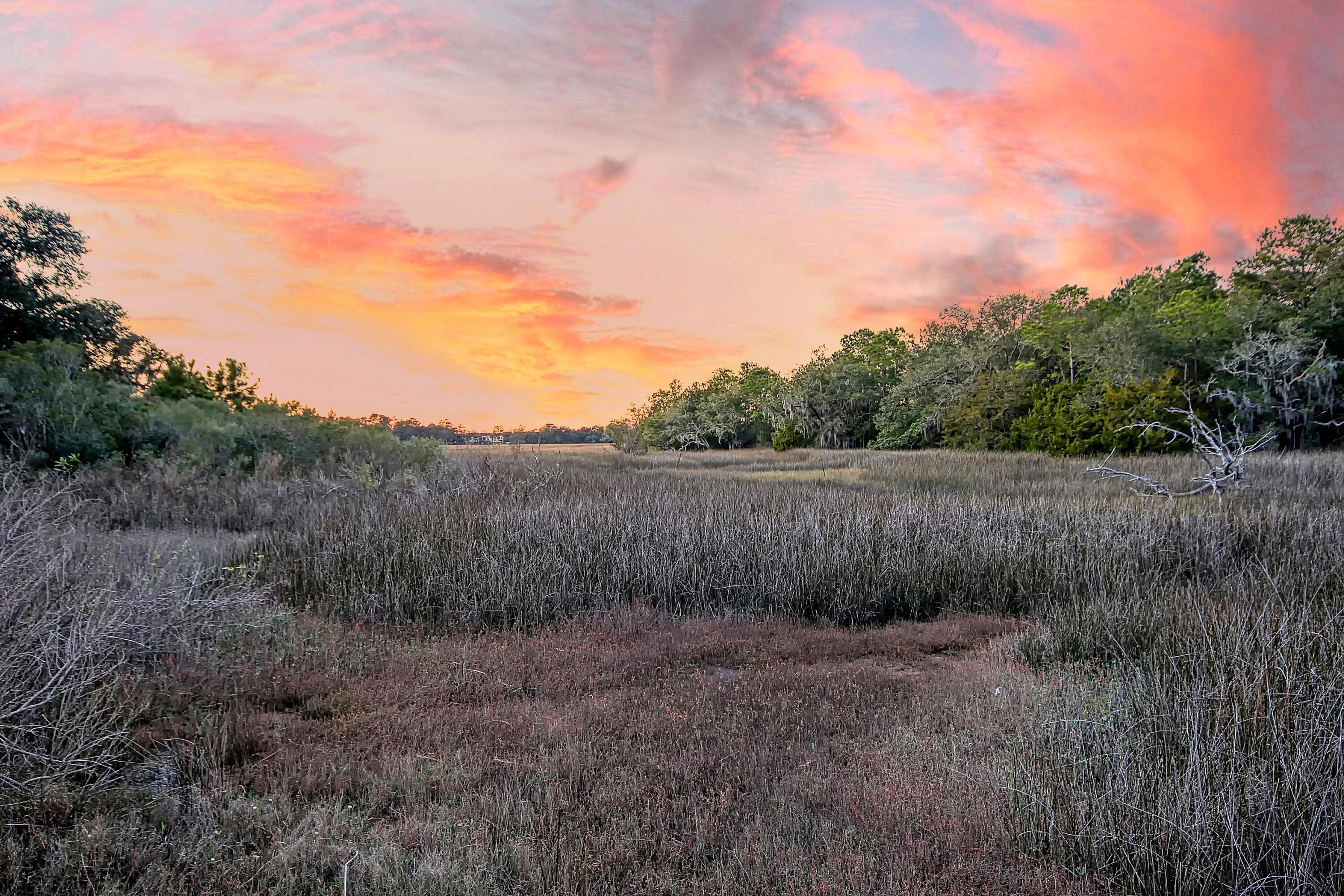 3388 Trumpet Road Johns Island, SC 29455 - Photo 76 of 76 CREM_3388 Trumpet Twilight_015