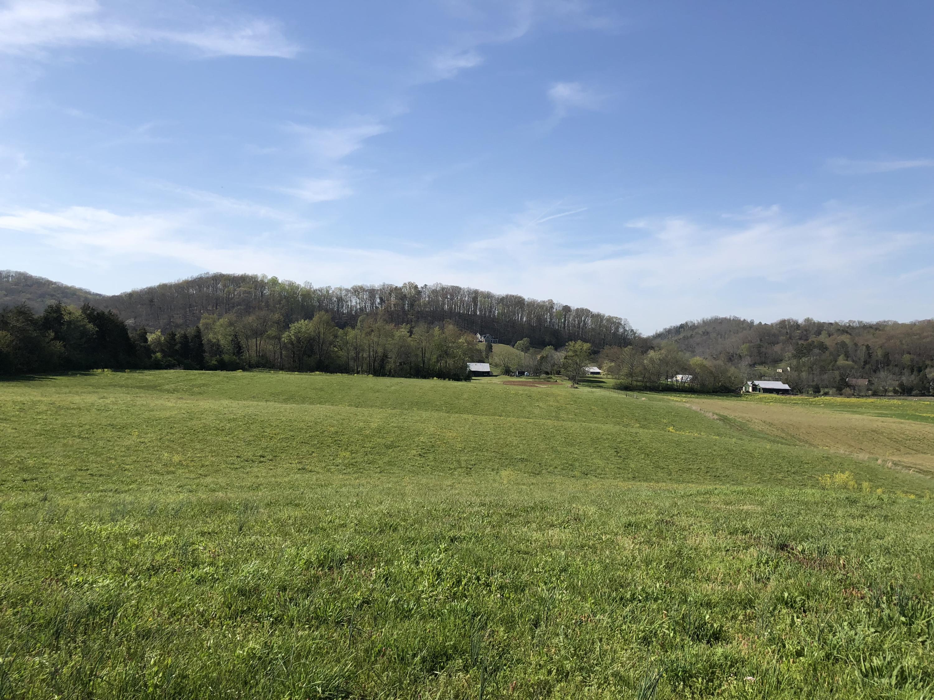 Mountain View Road Heiskell, TN 37754 - Photo 1 of 11 C51365CB-7CF3-4E9E-AF83-AF4FC27CCDA9