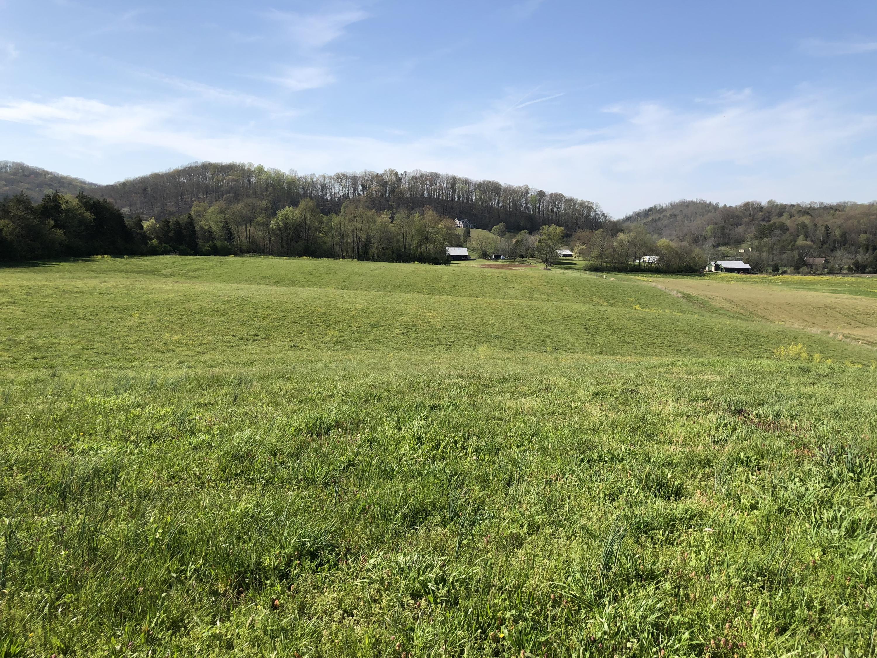 Mountain View Road Heiskell, TN 37754 - Photo 3 of 11 BDDCB8C7-C3A3-42DE-AE47-D5A9DAB54270
