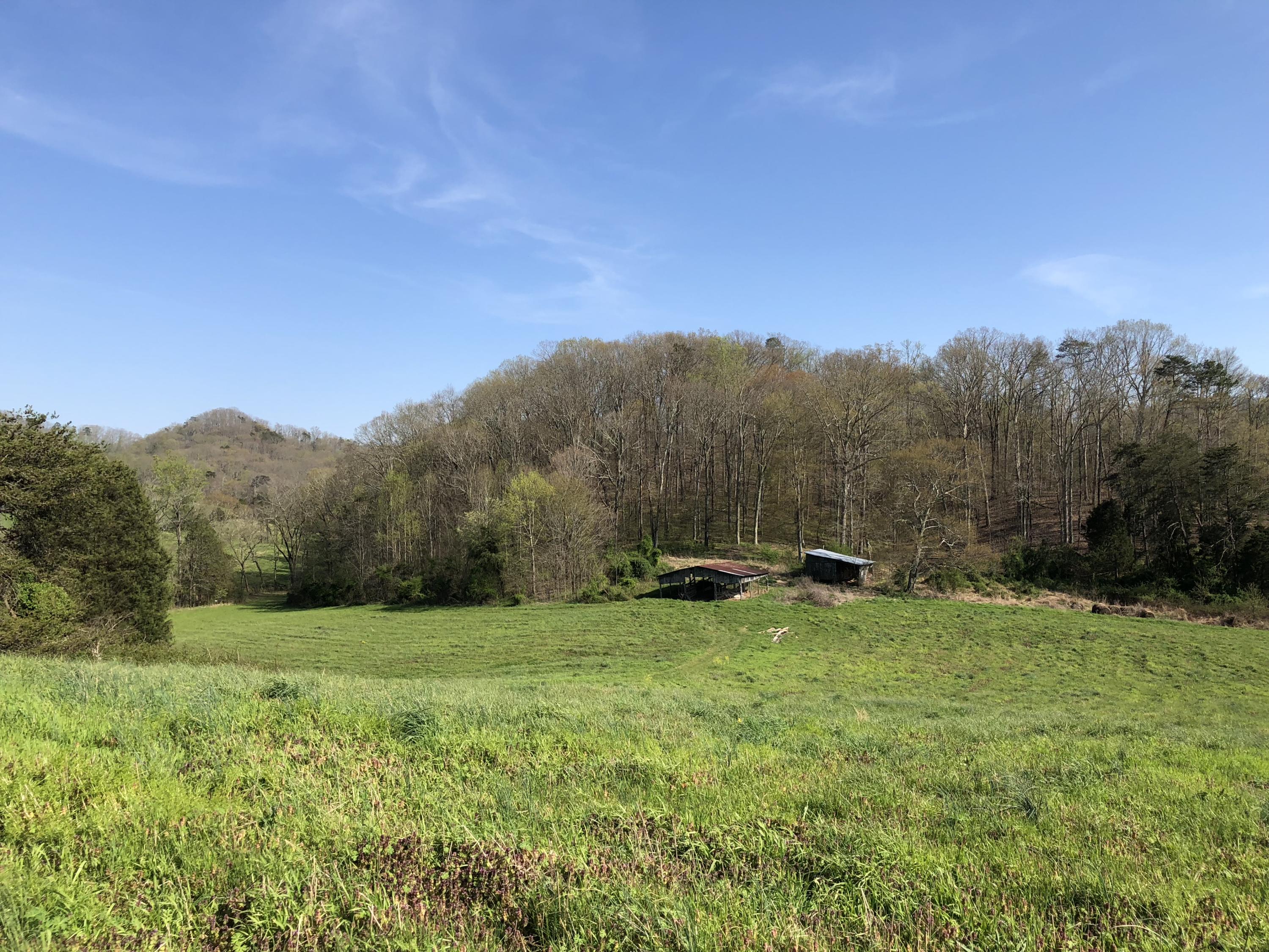 Mountain View Road Heiskell, TN 37754 - Photo 4 of 11 F359880D-8B85-4D1B-9BF7-0B94571999A5