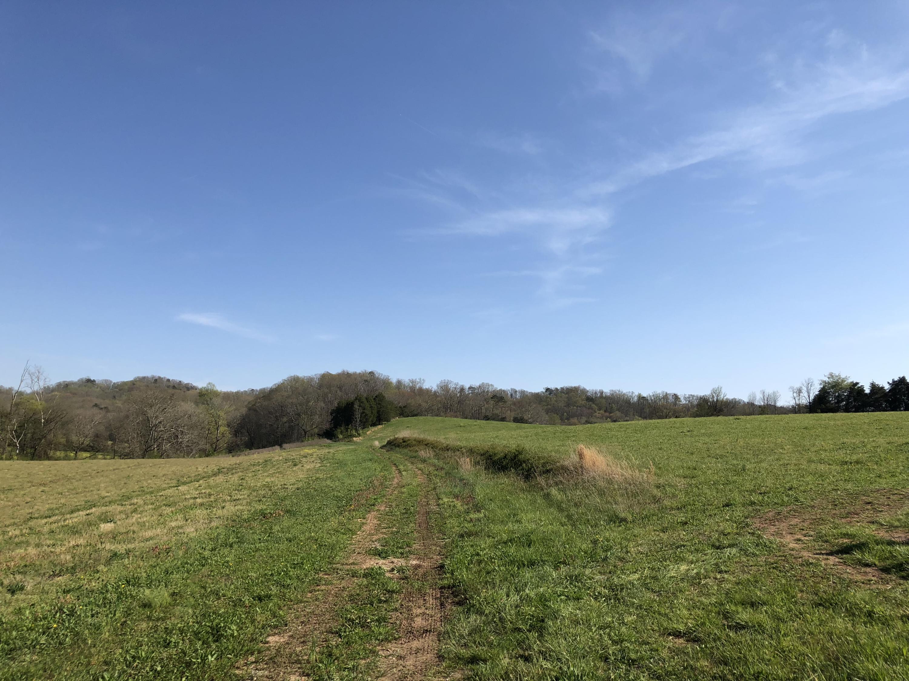 Mountain View Road Heiskell, TN 37754 - Photo 5 of 11 5F566626-B59F-4827-9C0D-22004A1070FF