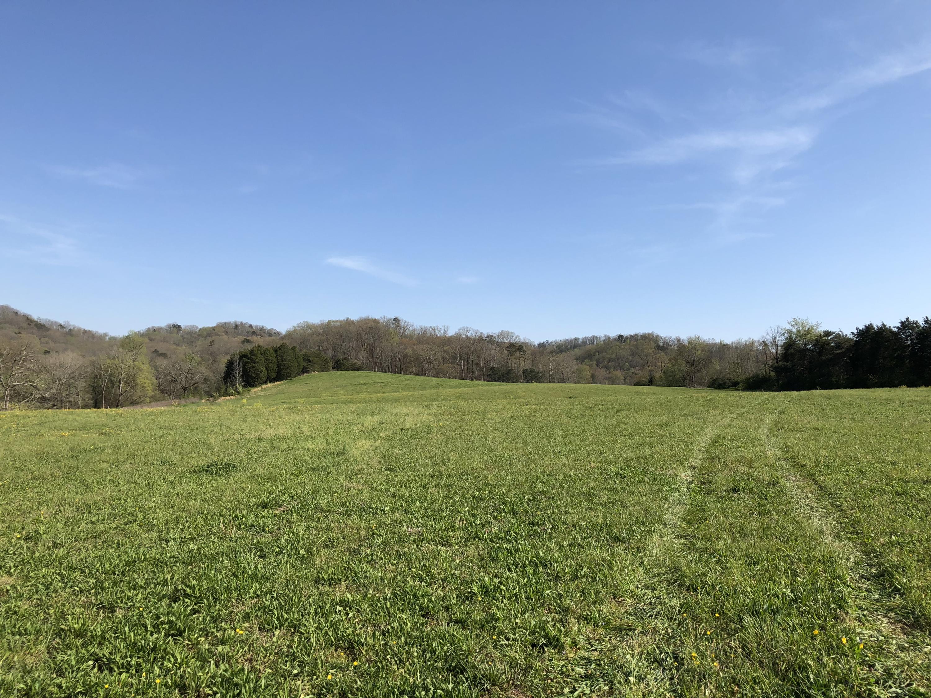 Mountain View Road Heiskell, TN 37754 - Photo 7 of 11 30AB2677-0743-451F-927F-C561C1FC75FF