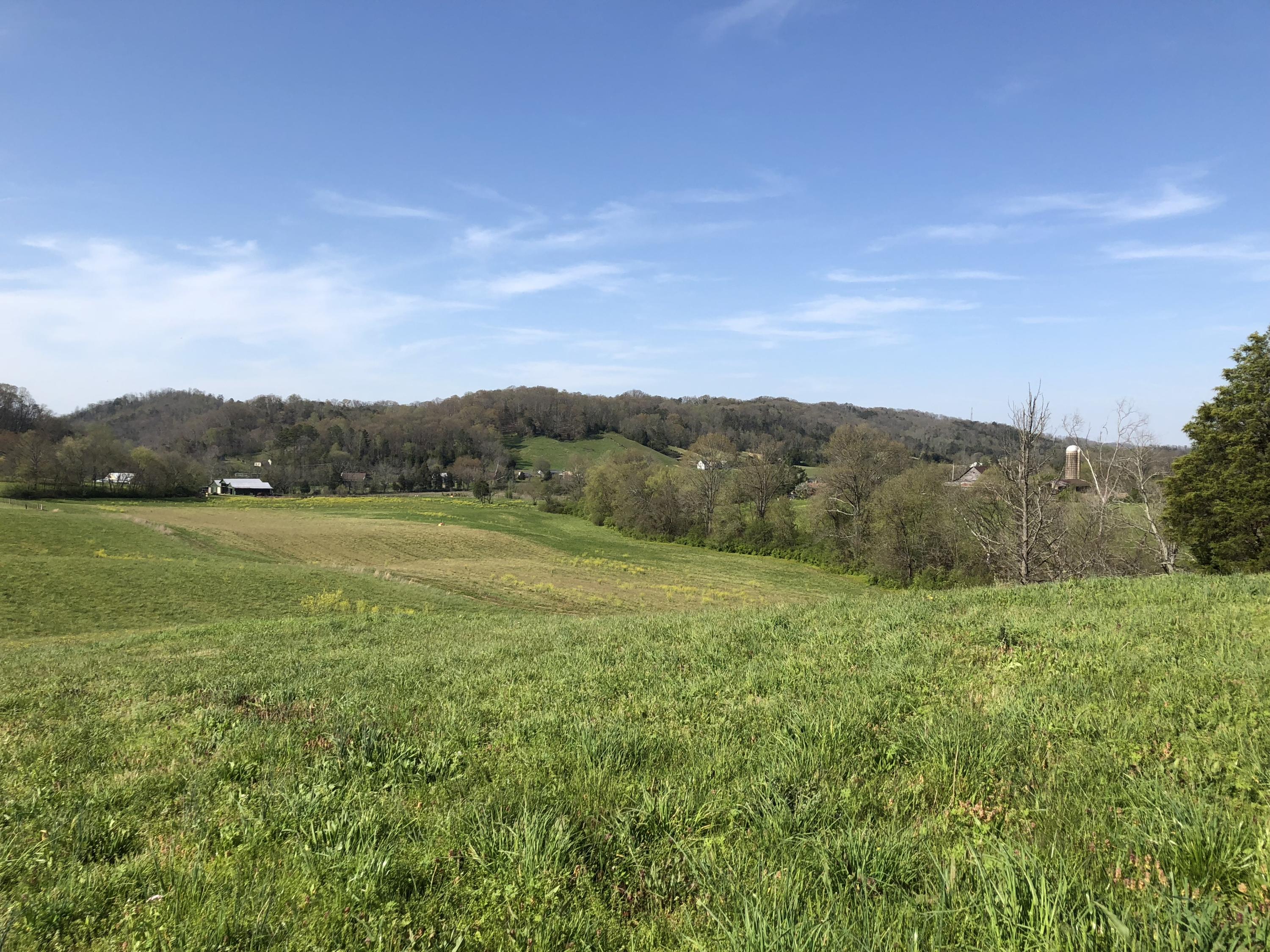 Mountain View Road Heiskell, TN 37754 - Photo 8 of 11 AD7A7941-135C-44B1-B61C-E1FD634C0804