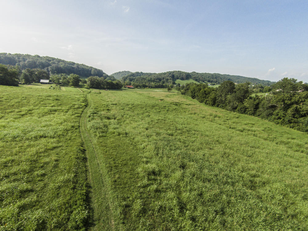 Mountain View Road Heiskell, TN 37754 - Photo 10 of 11 A73A9502-CE9E-40ED-8B48-E7673AD1CEEE