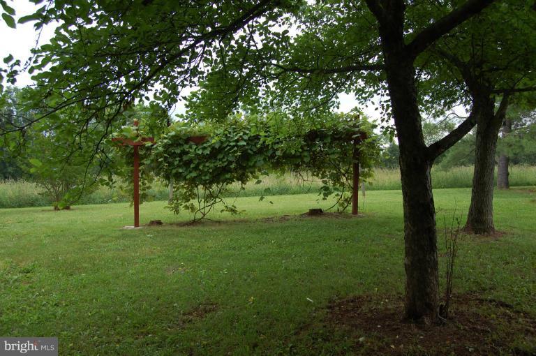 11689 Cemetery Road Bealeton, VA 22712 - Photo 11 of 30 Exterior (Rear)