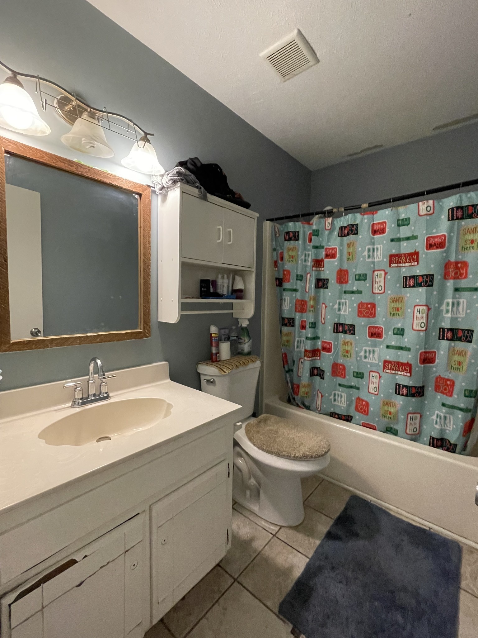 552 Piccadilly Row Antioch, TN 37013 - Photo 13 of 36 a bathroom with a sink toilet and shower