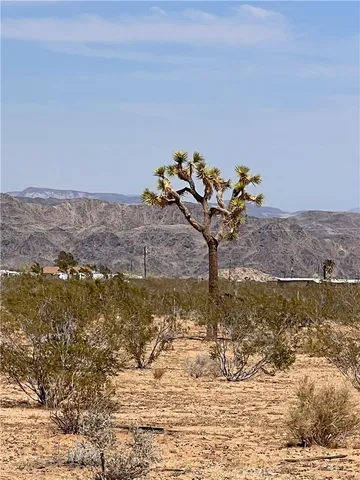 $75,000 | 56172 Cone Boulevard, Landers, CA 92285