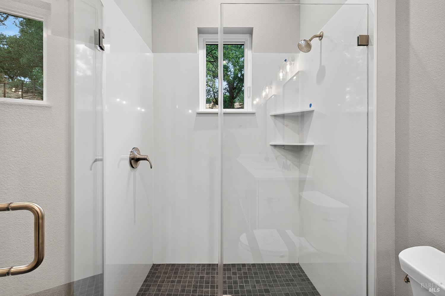 1913 Carlile Place Santa Rosa, CA 95403 - Photo 28 of 60 Another view of the main level primary suite stall shower.