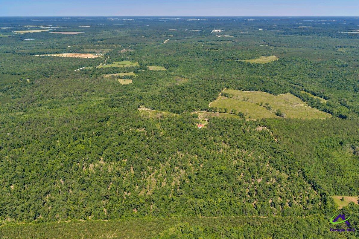 2 Everett Wood Road Oglethorpe, GA 31068 - Photo 8 of 27