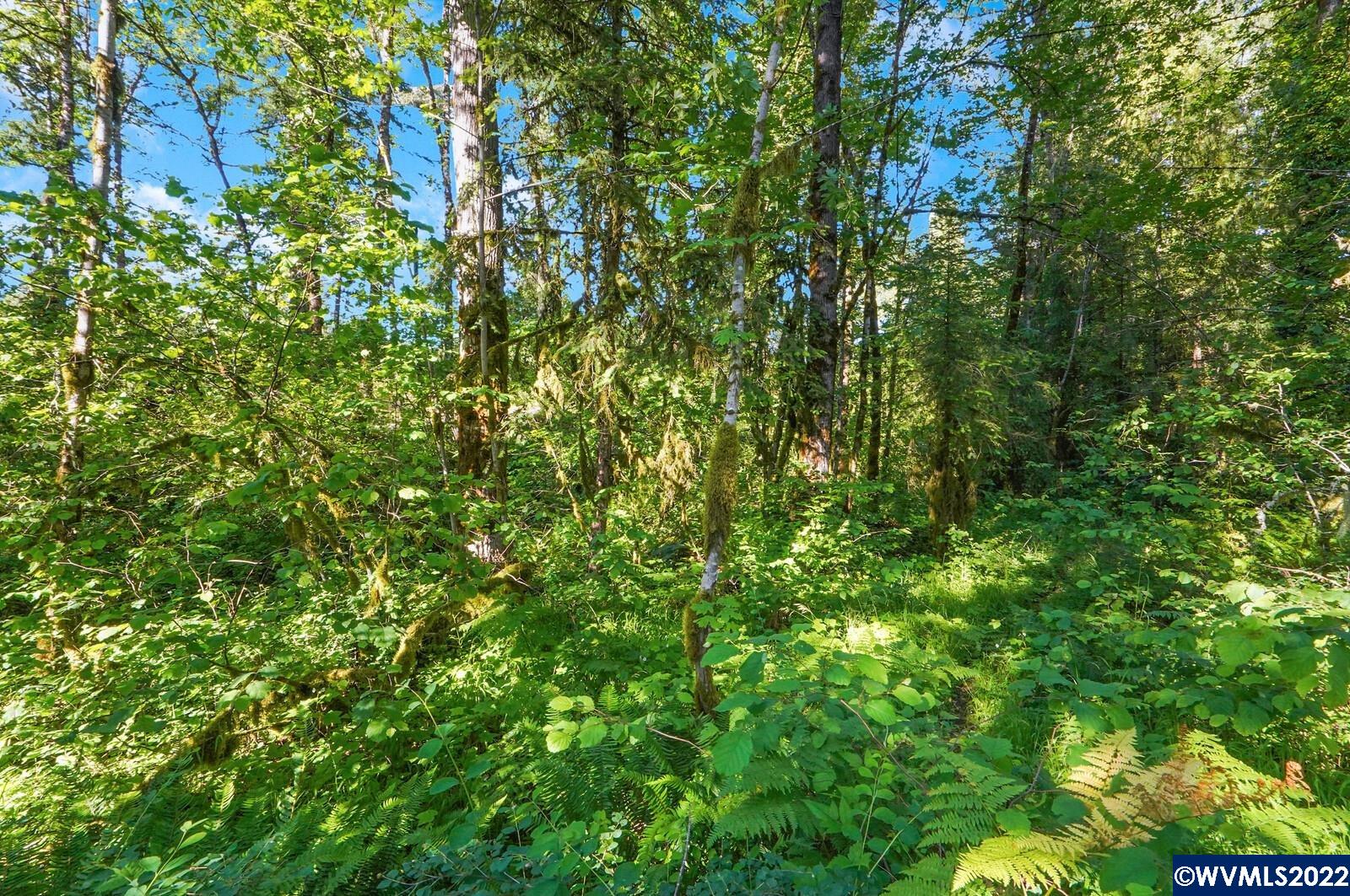 761 West Central Street Gates, OR 97346 - Photo 11 of 31