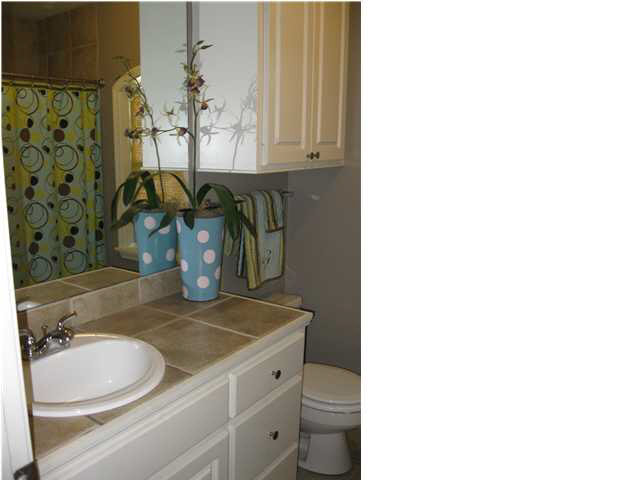 129 Channing Circle Canton, MS 39046 - Photo 10 of 13 Guest Bath