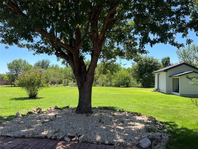 a view of a yard with a tree