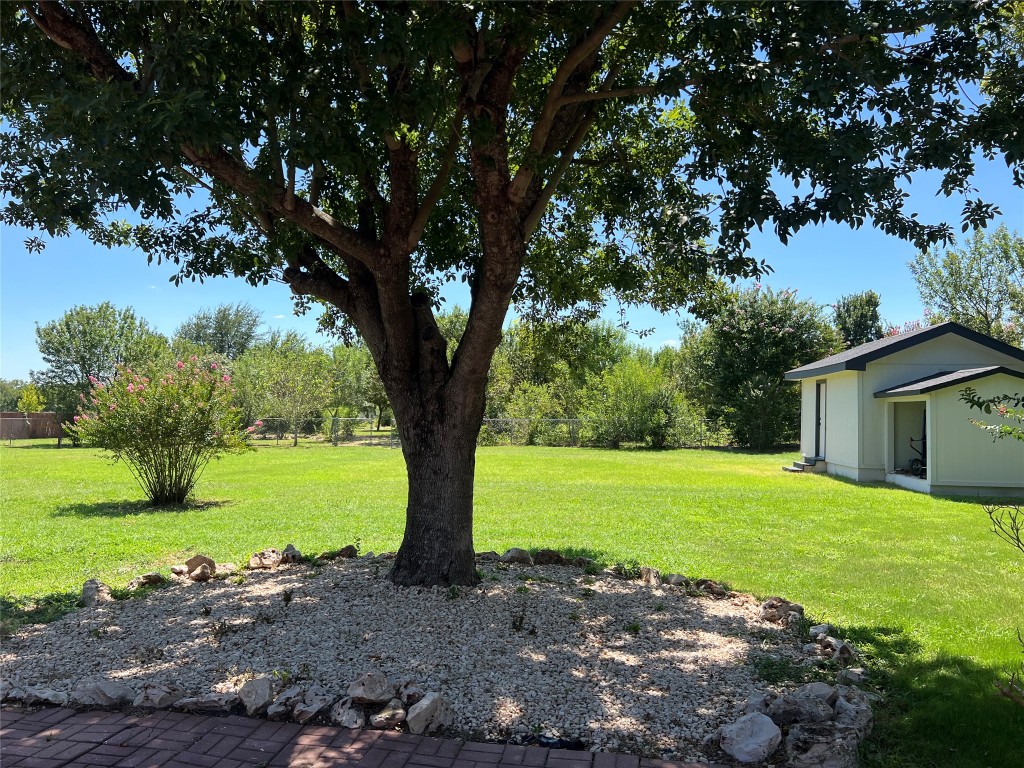 117 Cotton Rows Lane Taylor, TX 76574 - Photo 17 of 35 View of yard and the additional storage shed in the back yard