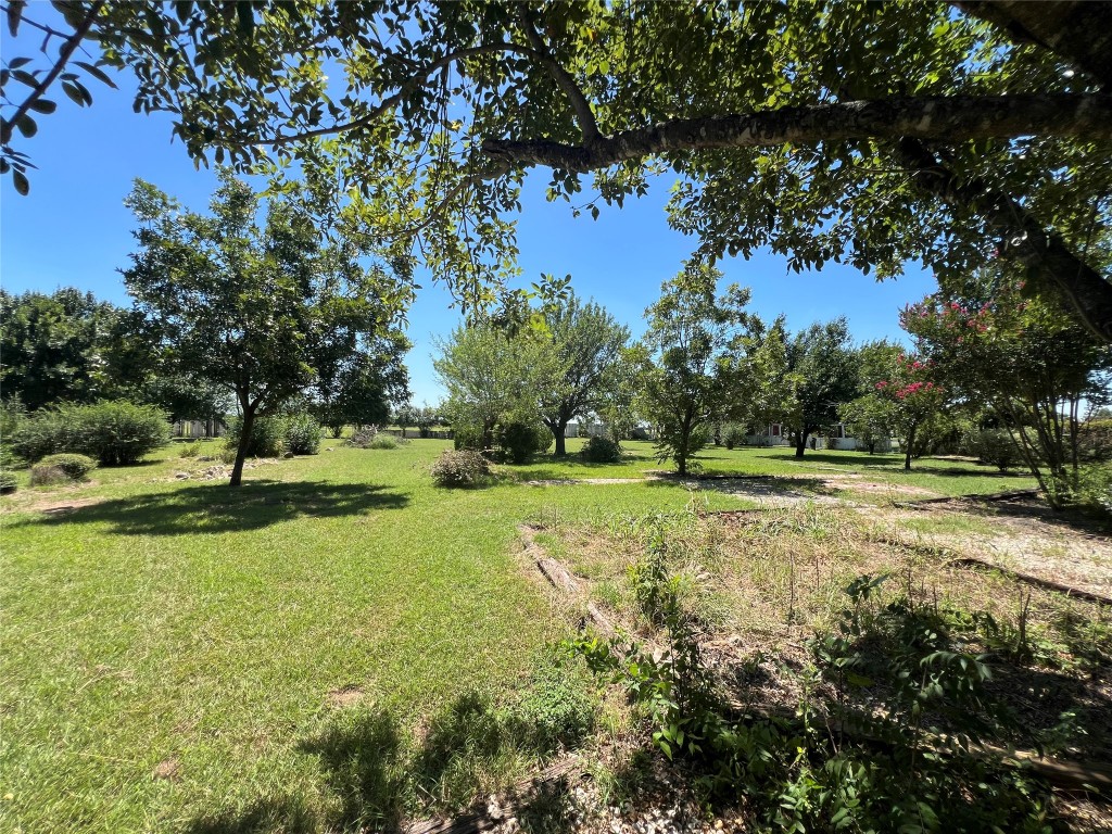 117 Cotton Rows Lane Taylor, TX 76574 - Photo 18 of 35 View of yard