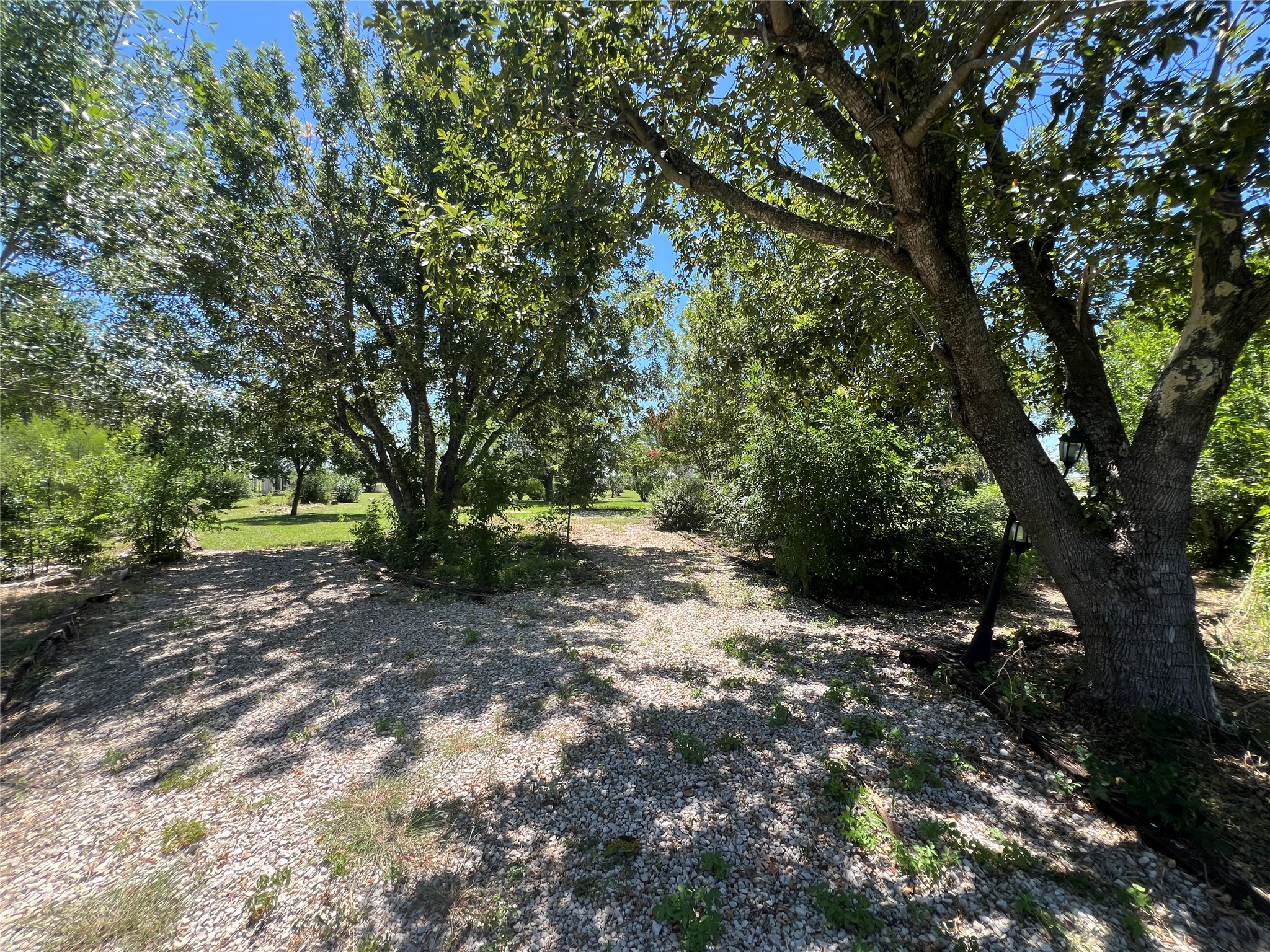 117 Cotton Rows Lane Taylor, TX 76574 - Photo 35 of 35 View of back section of the yard. So mamy possibilities.