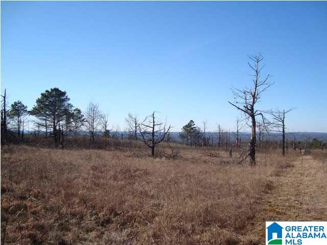 29 Highway Ac Al, Unit 33 Oneonta, AL 35121 - Photo 11 of 23