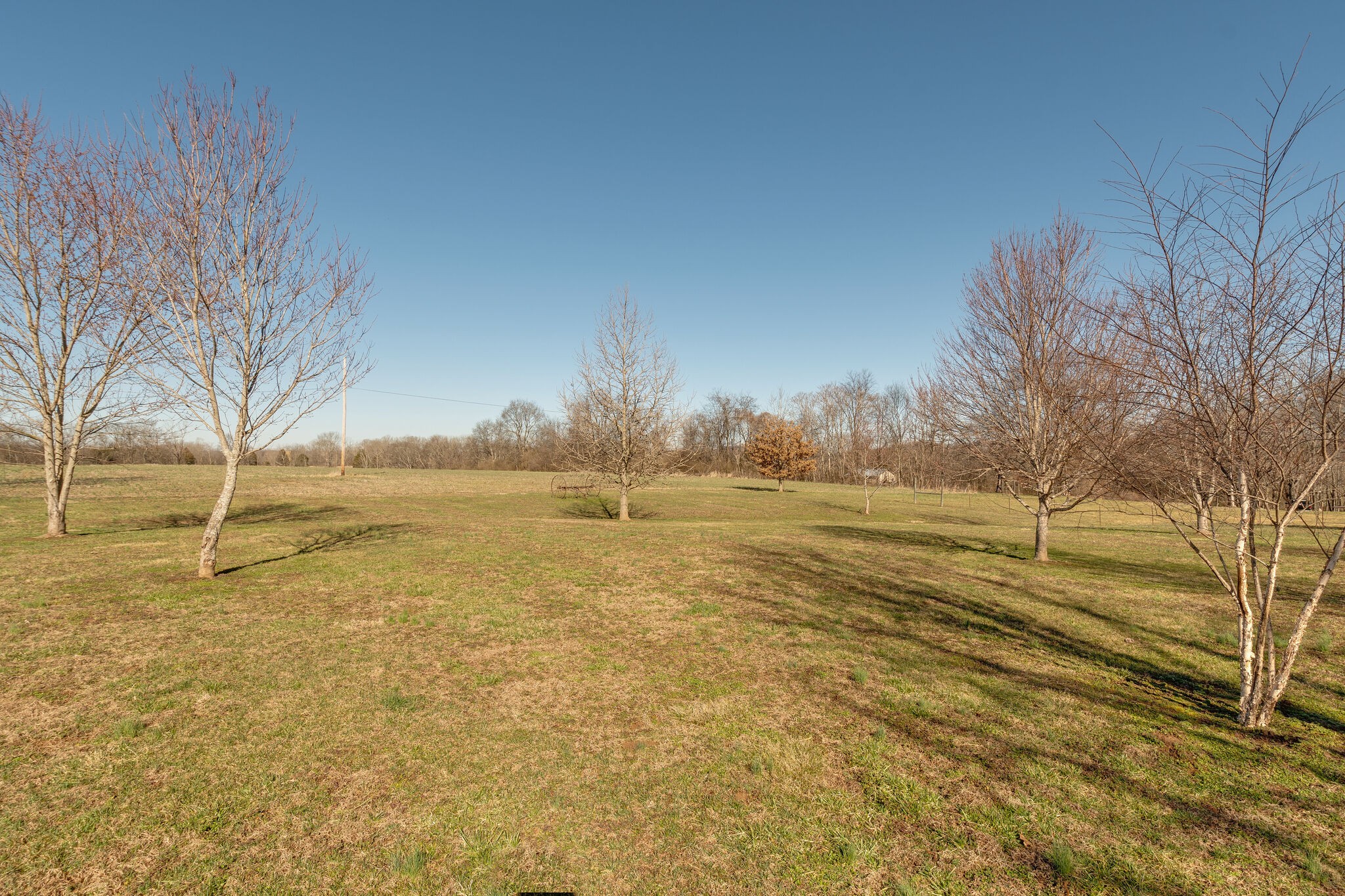 1117 Canaan Road Columbia, TN 38401 - Photo 40 of 41 Gallery Image 40