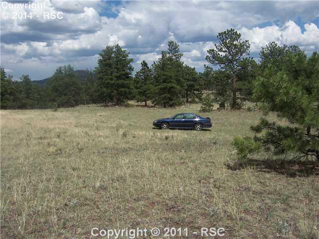 620 Julia Road Guffey, CO 80820 - Photo 4 of 11 One of several secluded, sunny building sites.