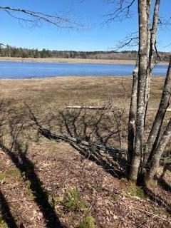 120 Wescogus Road Addison, ME 04606 - Photo 2 of 5 2