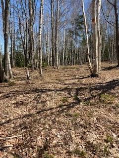 120 Wescogus Road Addison, ME 04606 - Photo 4 of 5 4