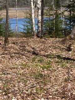 120 Wescogus Road Addison, ME 04606 - Photo 5 of 5 5