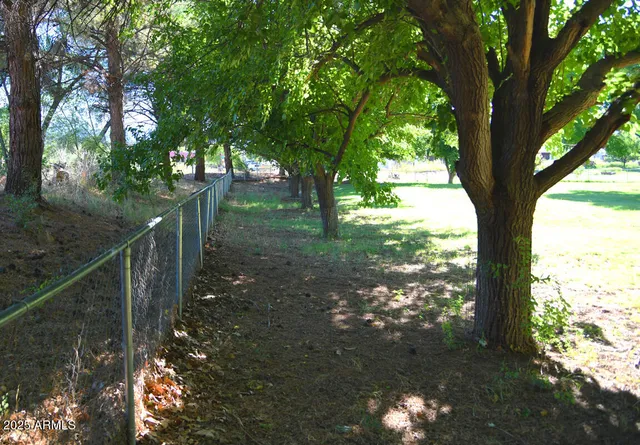 a view of a yard with large trees