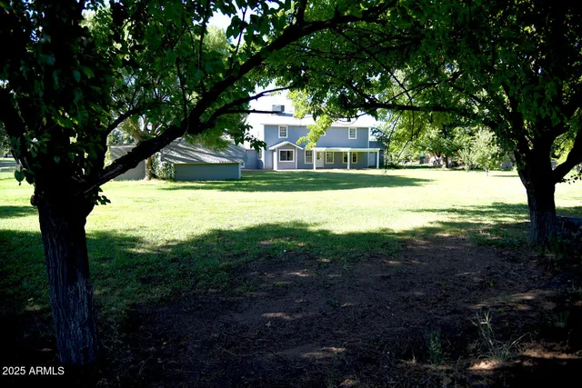 a view of a yard with plants and large trees