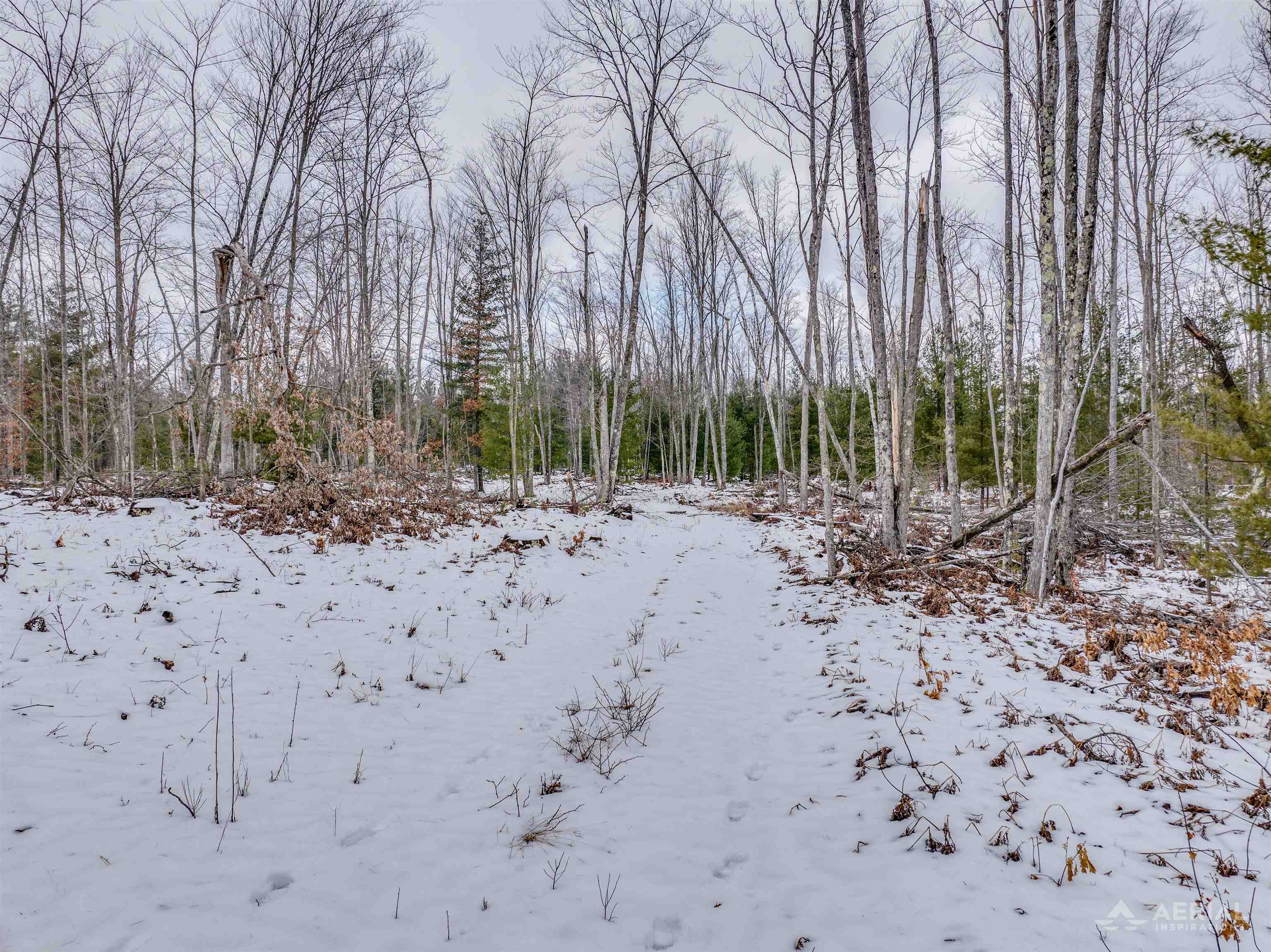 0 East Greenwood Road Prescott, MI 48756 - Photo 3 of 11