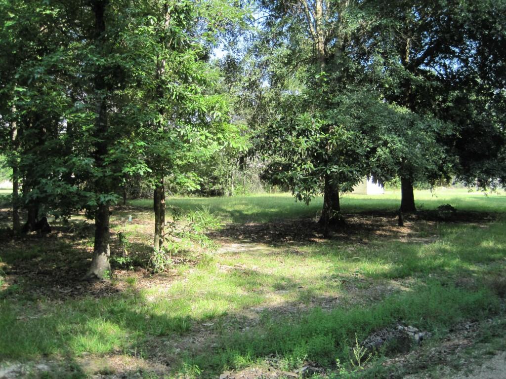 20288 Sister's Road Ponchatoula, LA 70454 - Photo 16 of 16 Gallery Image 16