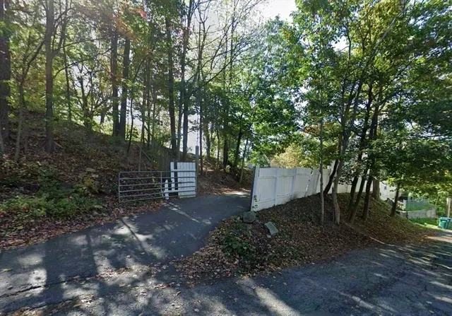 a view of a backyard with trees