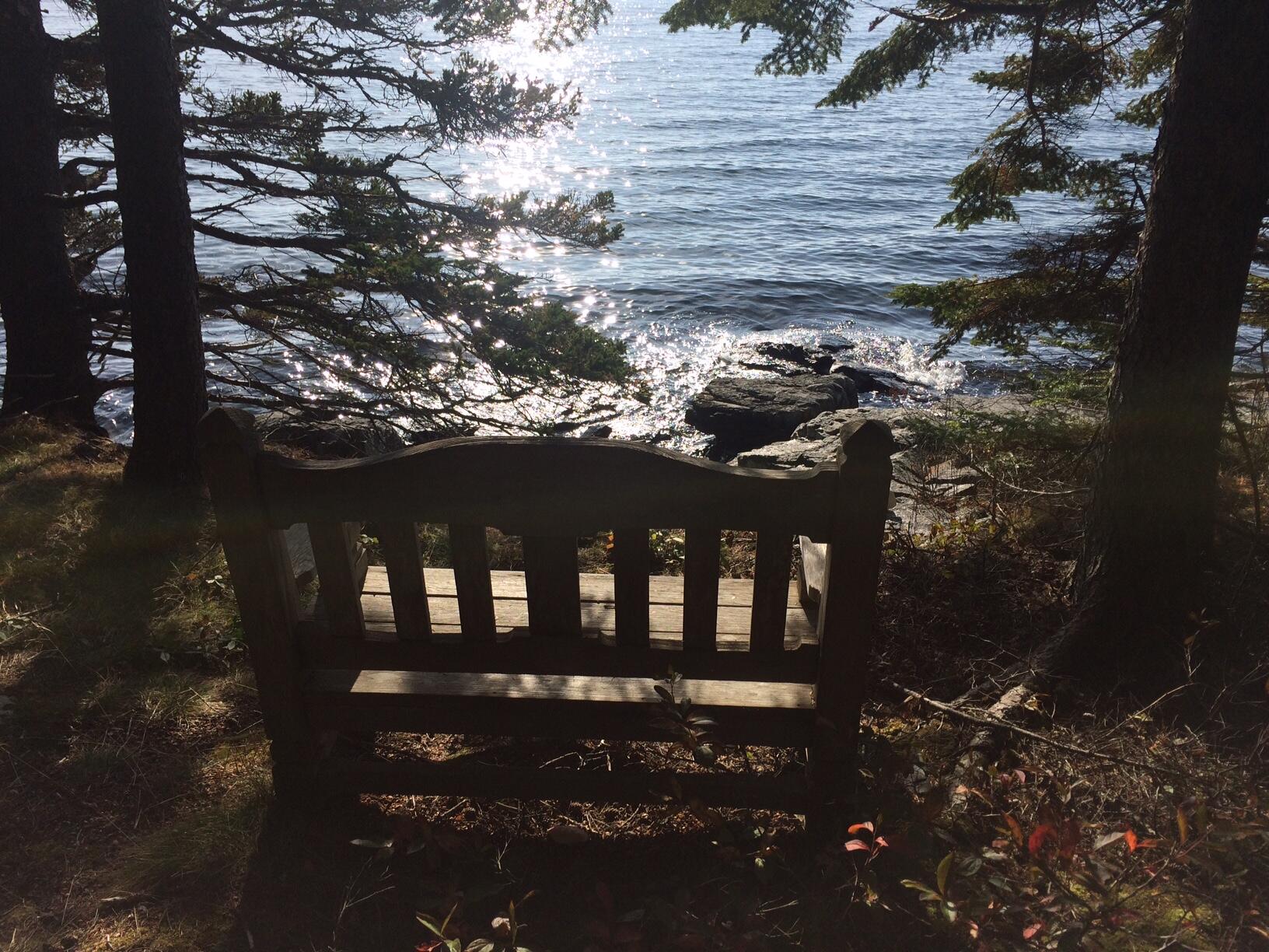 16 Rocky Coast Road Tremont, ME 04612 - Photo 1 of 40 Bench overlooking shore