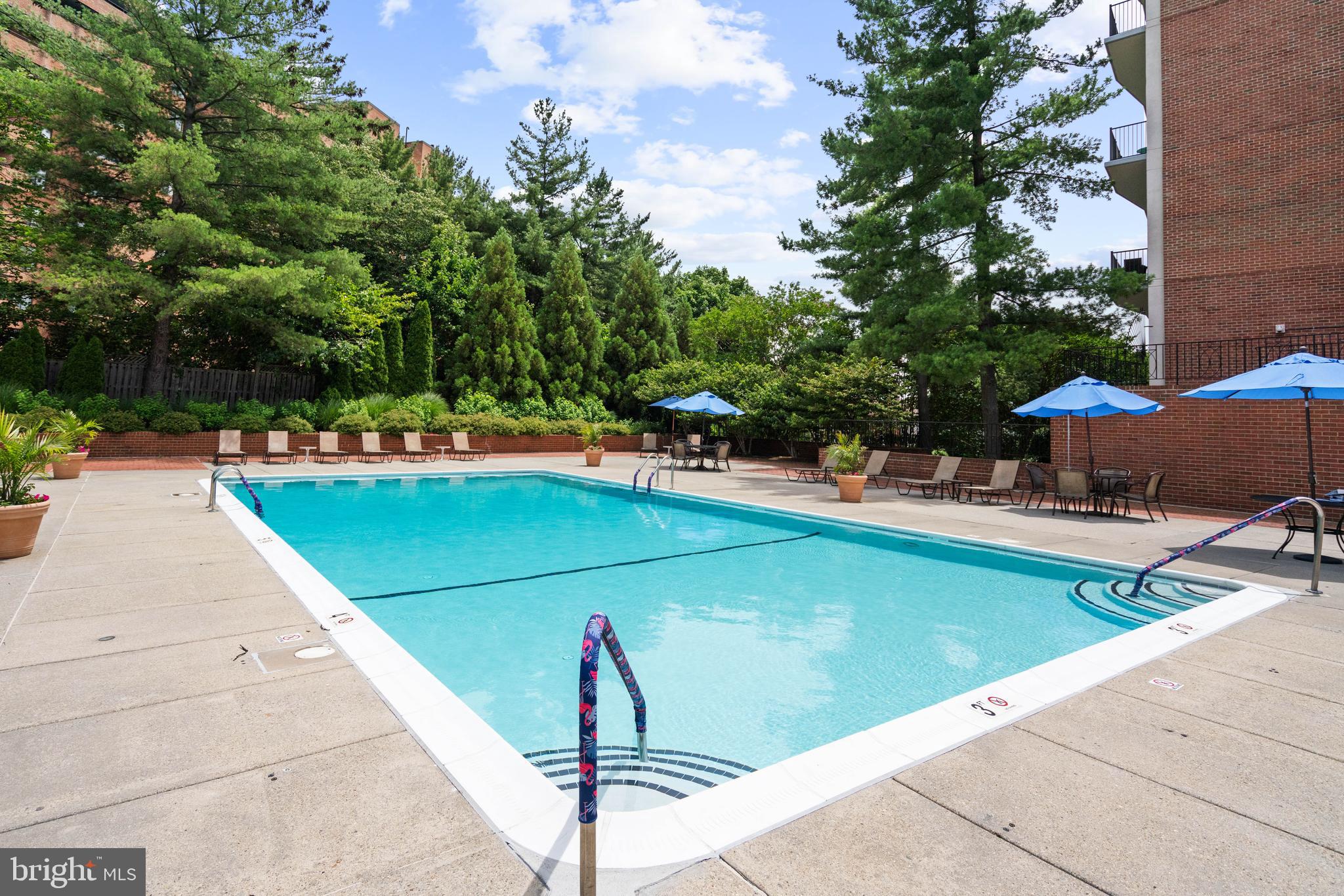 3231 Sutton Place Northwest, Unit D Washington, DC 20016 - Photo 40 of 42