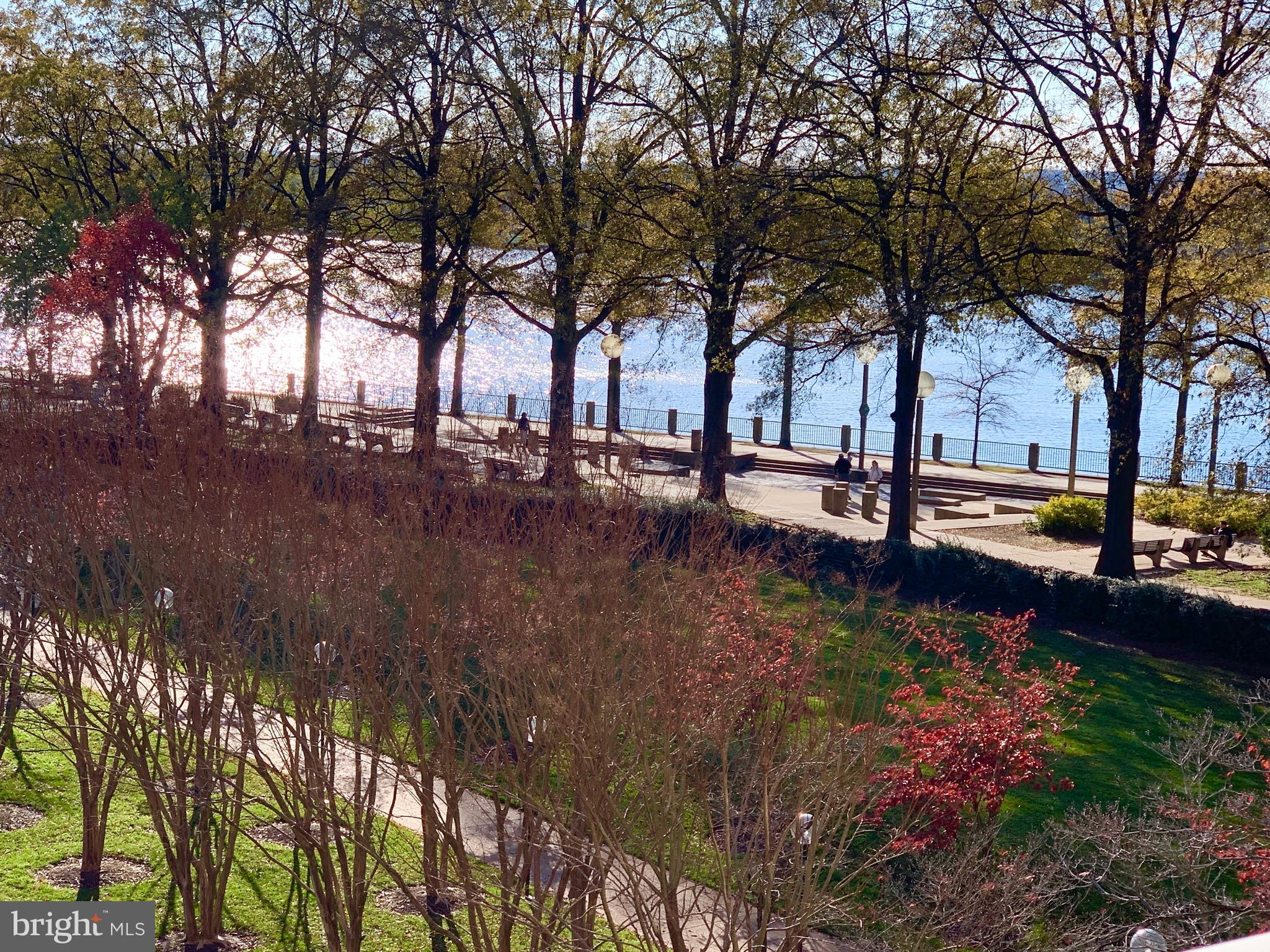 560 N Street Southwest, Unit N304 Washington, DC 20024 - Photo 9 of 22 a view of a yard with plants and trees