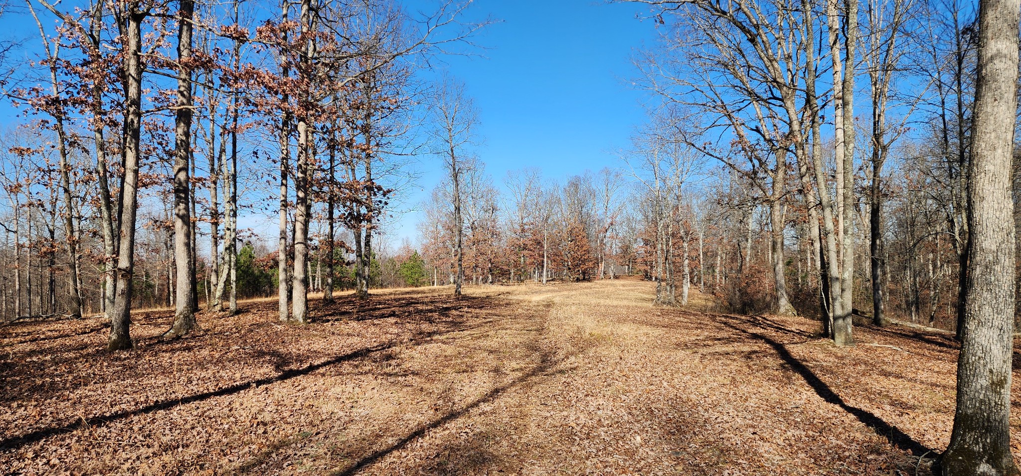 1090 Brown Mill Road McEwen, TN 37101 - Photo 16 of 59 Gallery Image 16