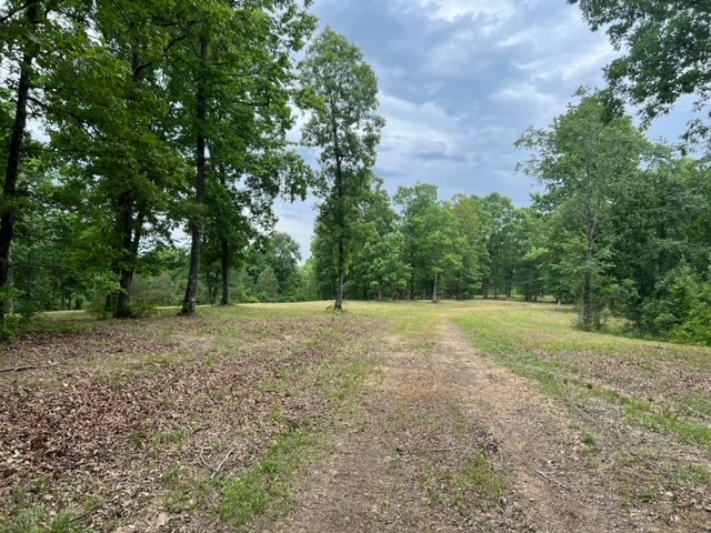 1090 Brown Mill Road McEwen, TN 37101 - Photo 17 of 59 Gallery Image 17