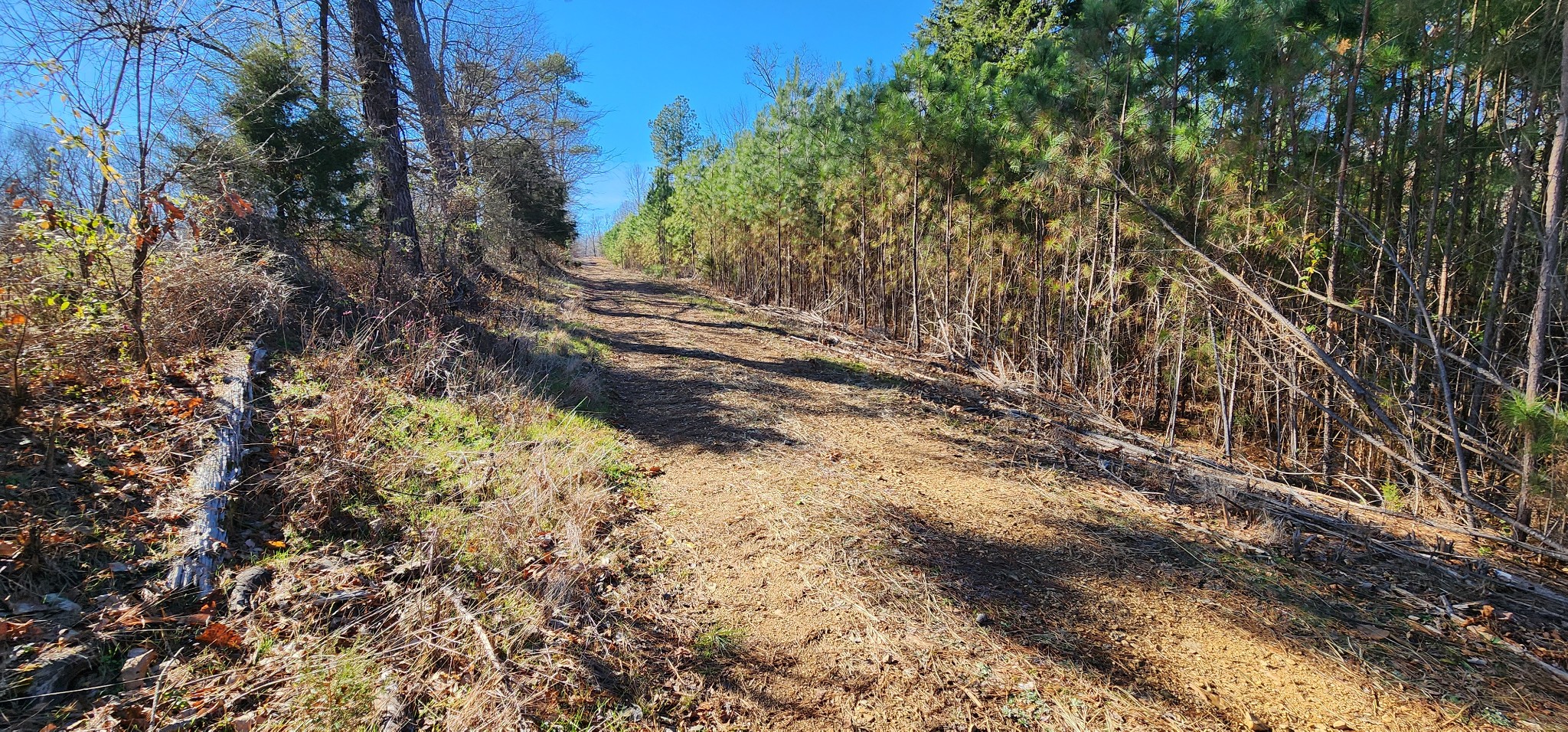 1090 Brown Mill Road McEwen, TN 37101 - Photo 20 of 59 Gallery Image 20