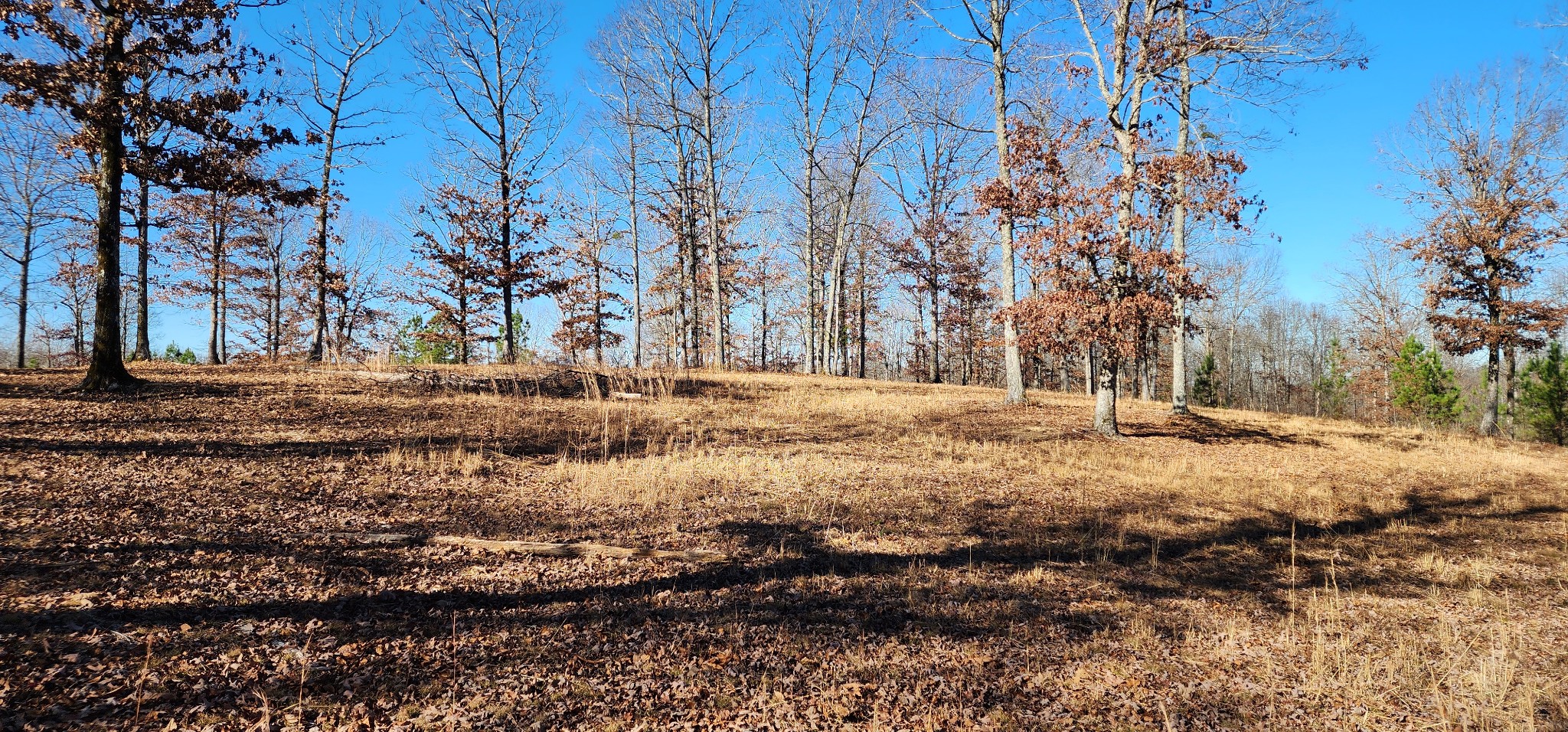 1090 Brown Mill Road McEwen, TN 37101 - Photo 21 of 59 Gallery Image 21