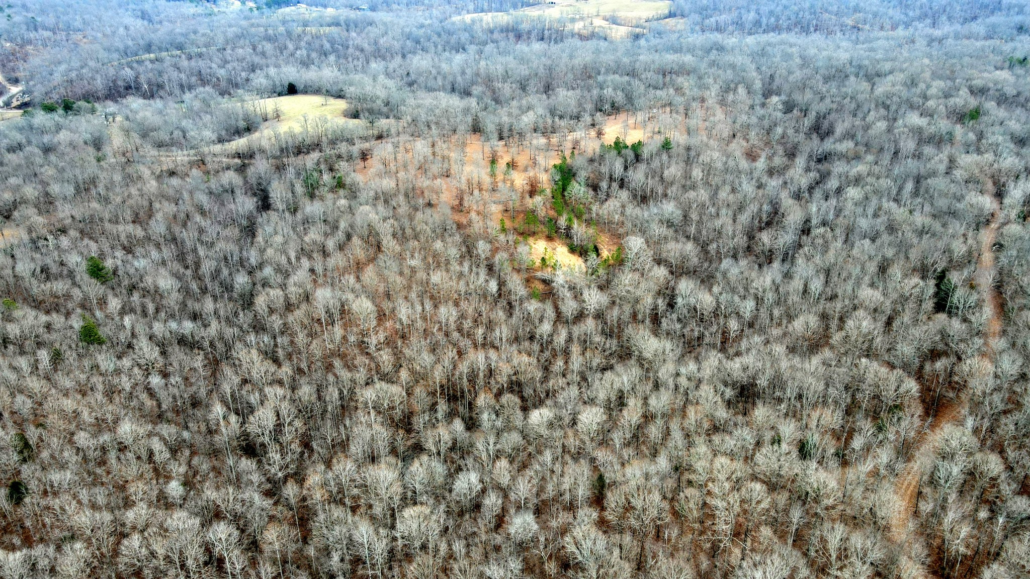 1090 Brown Mill Road McEwen, TN 37101 - Photo 23 of 59 Gallery Image 23