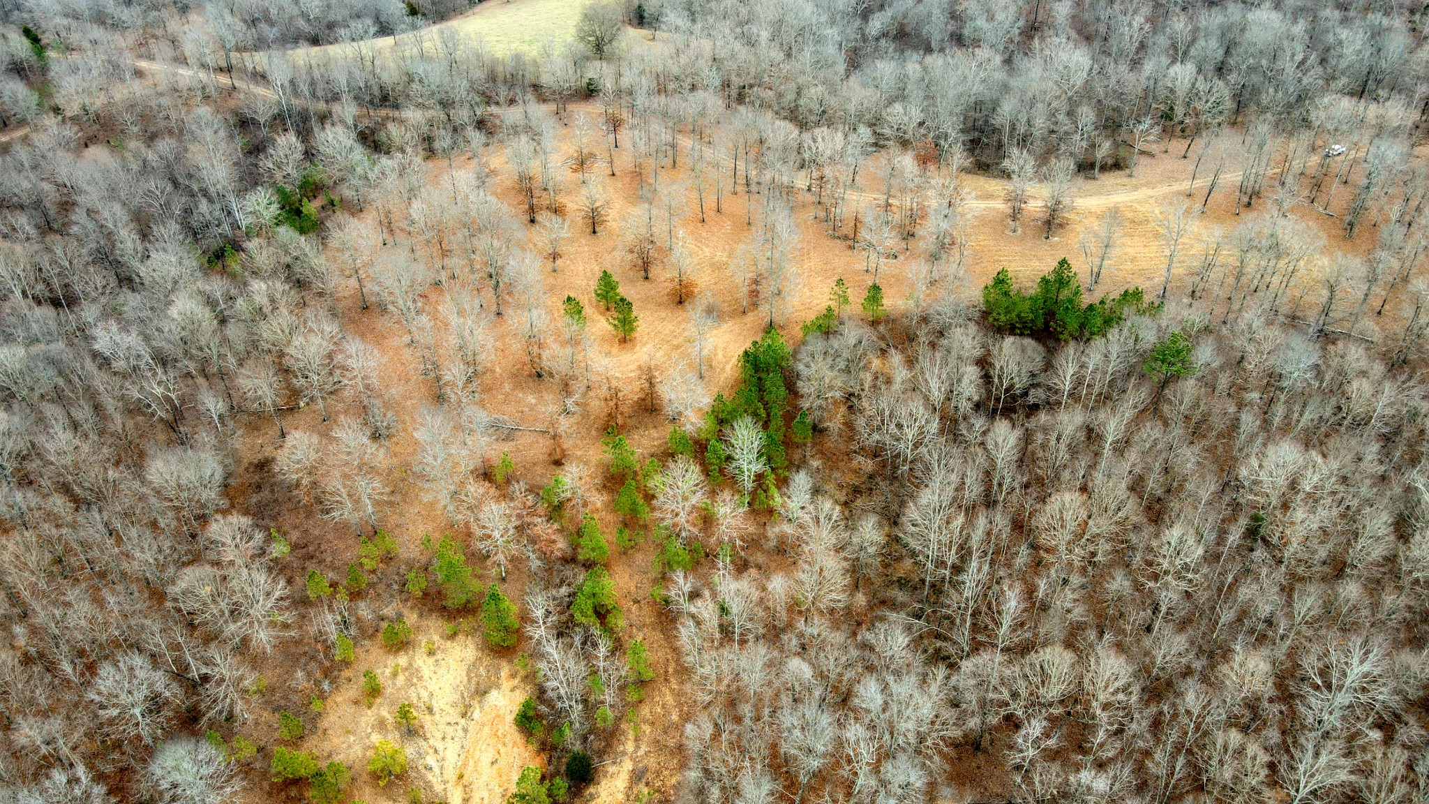 1090 Brown Mill Road McEwen, TN 37101 - Photo 27 of 59 Gallery Image 27