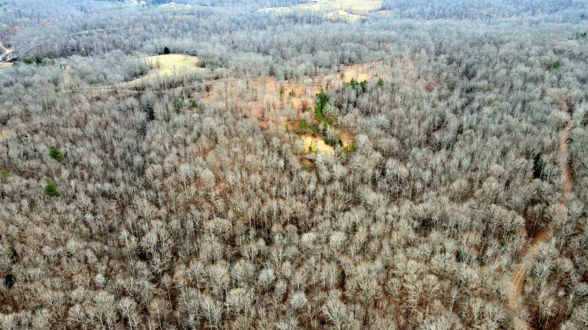 1090 Brown Mill Road McEwen, TN 37101 - Photo 28 of 59 Gallery Image 28