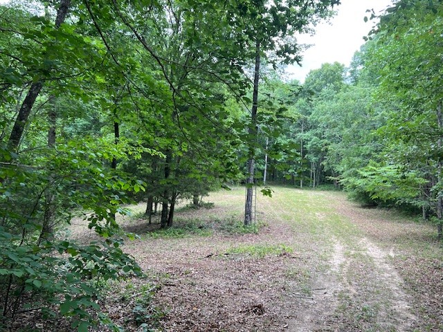 1090 Brown Mill Road McEwen, TN 37101 - Photo 31 of 59 Gallery Image 31