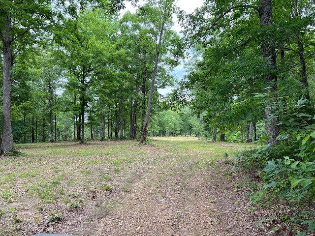 1090 Brown Mill Road McEwen, TN 37101 - Photo 35 of 59 Gallery Image 35