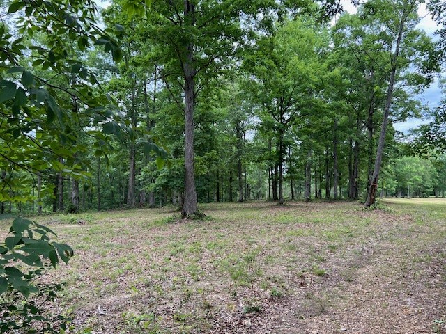 1090 Brown Mill Road McEwen, TN 37101 - Photo 36 of 59 Gallery Image 36